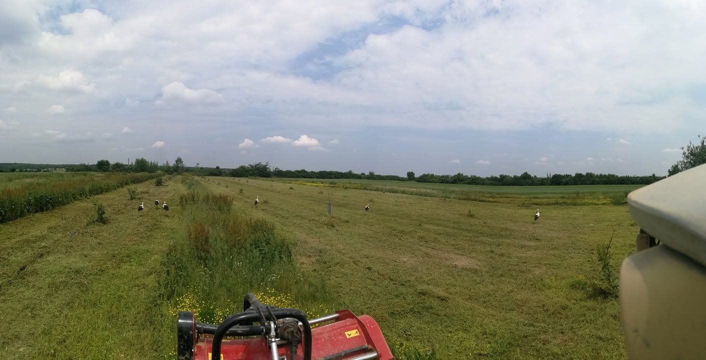 Nekoga prate svirači, a nekoga rode :D