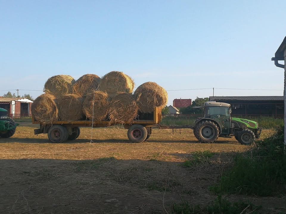 Malo veća prikolica :)