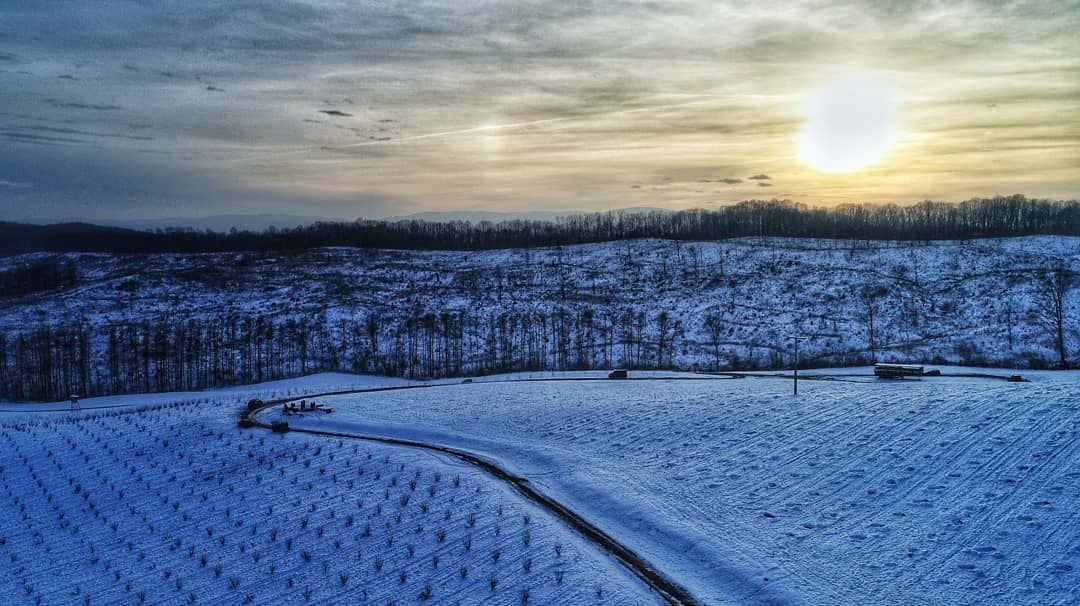 Zubato Sunce :)