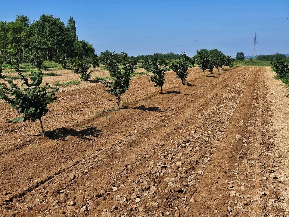 Na "kavi" kod bratića...