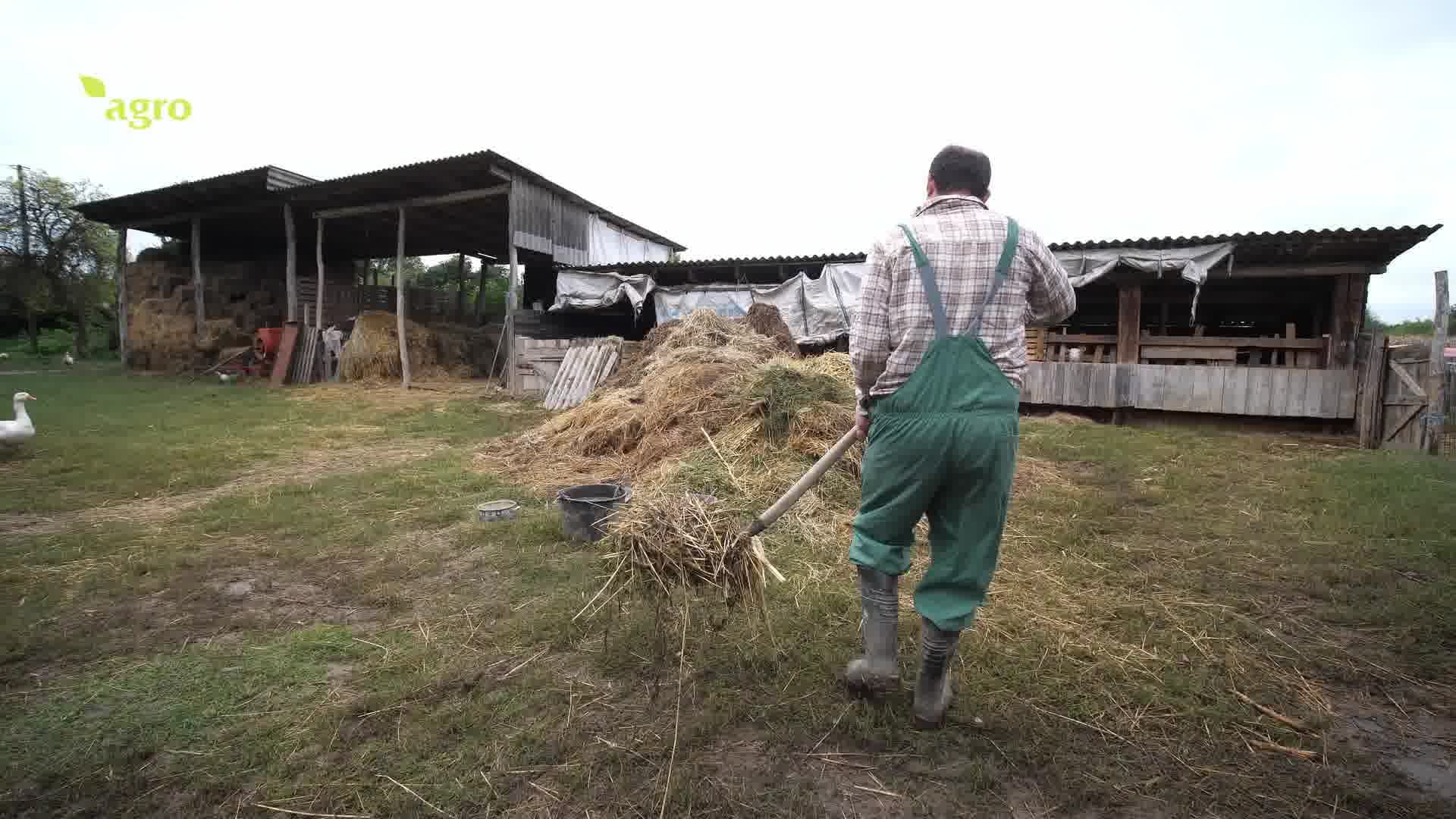 Pogledajte kako izgleda pomalo idlična farma 🙂 OPG Geto Koze, svinje, patke, guske, koko…