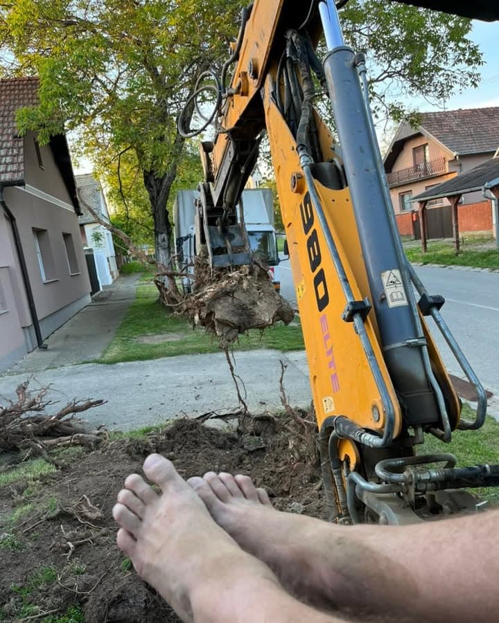 Hvatanje odbjeglih panjeva xD