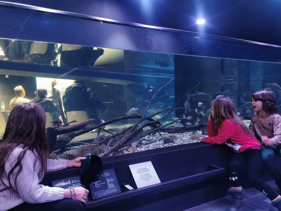 Tata se predaje a djeca uživaju u akvariju :)