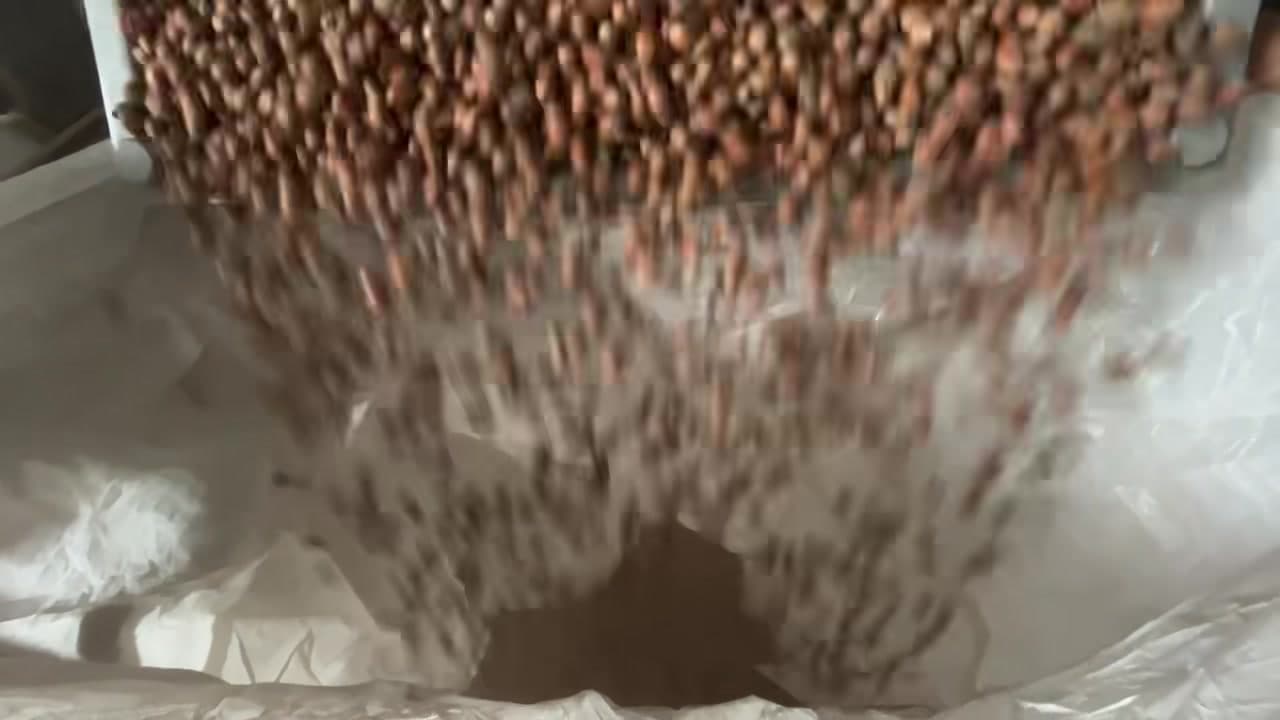Sutra video otpreme prvog šlepera lješnjaka za Italiju :))