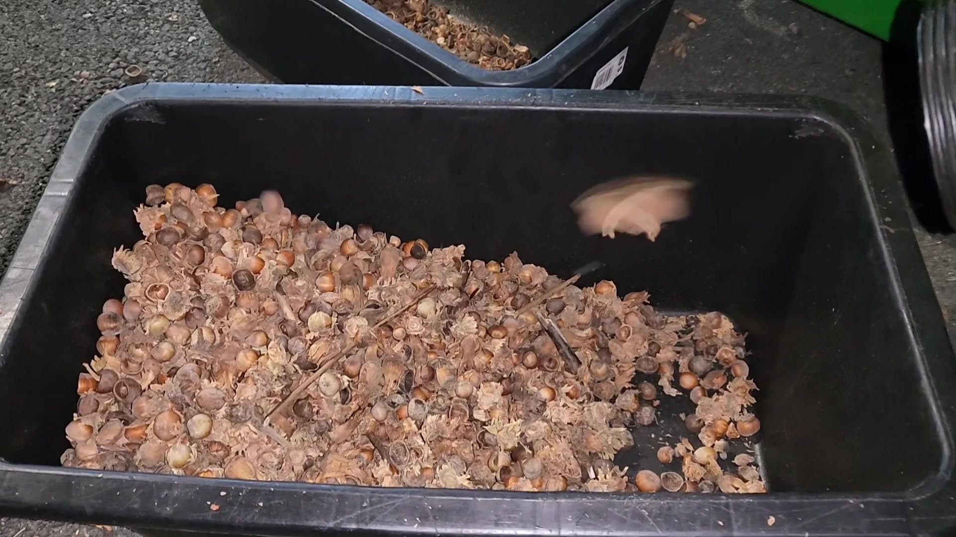 Pripreme za zajednički plasman lješnjaka u punom jeku :) Kako bismo izbjegli slanje "smeć…